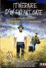 Баловень судьбы (Itineraire dun enfant gate)