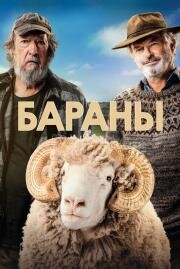 Бараны (Rams) 2020