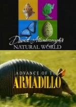BBC: Наедине с природой: Наступление броненосца (Advance of the ARMADILLO) 2004