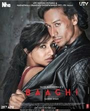 Бунтарь (Baaghi) (2016)