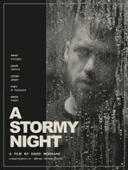 Бурная ночь (A Stormy Night)