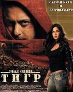 Жил-был тигр (Ek Tha Tiger) (2012)
