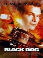 Черный пес (Black Dog) (1998)