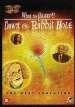 Что мы знаем!?: Вниз по Кроличьей Норе (Покрытое тайной 2) (What the Bleep!?: Down the Rabbit Hole) 2006