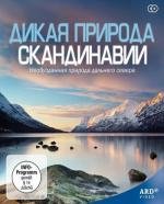 Дикая природа Скандинавии (2011)
