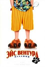 Эйс Вентура младший (Ace Ventura Jr: Pet Detective) (2009)