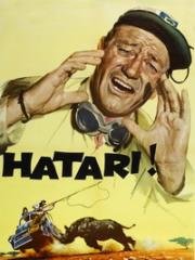 Хатари! (Hatari!) (1962)