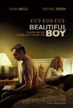 Хороший мальчик (Beautiful Boy) (2011)