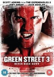 Хулиганы 3 (Green Street 3: Never Back Down) (2013)