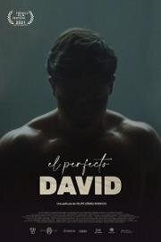Идеальный Давид (El perfecto David) 2021