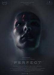 Высшая форма (Perfect) (2018)