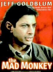 Извращенная одержимость (Сон безумной обезьяны) (El sueño del mono loco (Twisted Obsession)) (1989)