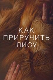 Как приручить лису 2024