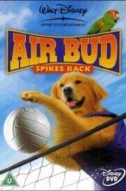 Король воздуха: Возвращение (Air Bud: Spikes Back) (2003)