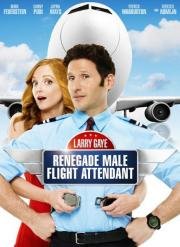 Суперстюард (Larry Gaye: Renegade Male Flight Attendant) 2015