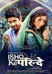 Любовь не знает границ (Ishq Ke Parindey) (2015)