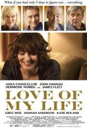 Любовь всей моей жизни (Love of My life) (2017)