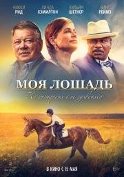 Моя лошадь (2016)