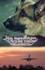 На привязи у взлётной полосы (1989)