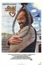 На юг (Goin' South) 1978