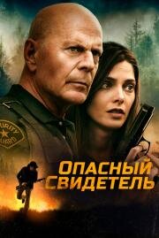 Опасный свидетель (Wrong Place) (2022)