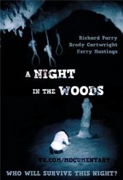 Ночь в лесу (A night in the woods) (2011)