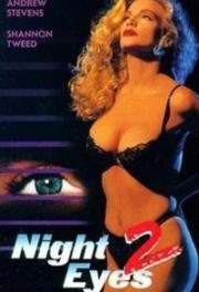 Ночное наблюдение 2 ( Ночная стража 2, Ночные глаза 2 ) (Night Eyes 2) (1991)