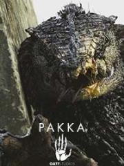 Оатс: Часть 1 - Ракка (Oats: Volume 1 - Rakka) (2017)