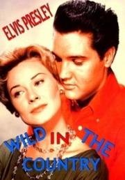 Одиночка (Дикарь, Повеса за городом) (Wild in the Country) 1961