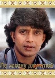 По закону джунглей (Shikari: The Hunter) (1991)