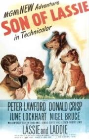 Сын Лесси (Son of Lassie) (1945)