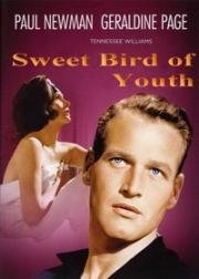 Сладкоголосая птица юности (Sweet Bird of Youth) 1962
