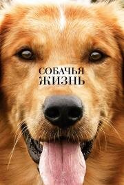 Собачья жизнь (A Dog's Purpose) (2017)