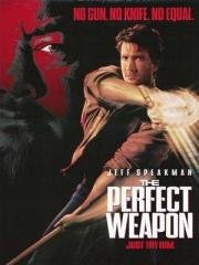 Совершенное оружие (The Perfect Weapon) 1991