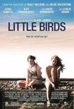 Спокойной ночи, Луна (Little Birds) 2011