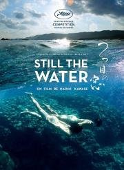 Тихая вода (Futatsume no mado) 2014