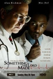 Творение Господне (Something the Lord Made) (2004)