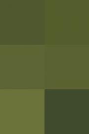 Вашингтонская история 1962