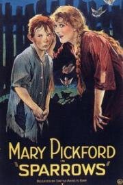 Воробушки (Sparrows) 1926