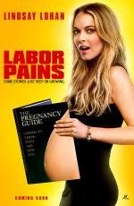 Временно беременна (Labor Pains) (2009)