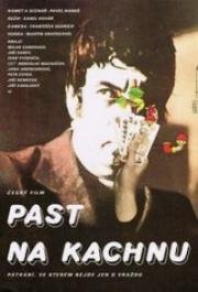 Западня для утки (Past na kachnu) (1978)