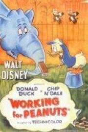Дональд Дак, Чип и Дейл: Работа за орехи (Donald Duck vs Chip & Dale: Working for Peanuts) (1953)