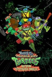 Истории Черепашек-ниндзя (Tales of the Teenage Mutant Ninja Turtles) (2024)