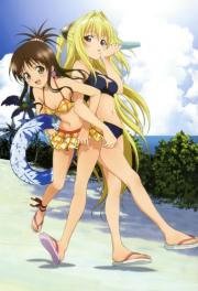 Любовные неприятности (To Love-Ru) (2008)