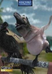 Симпатичные вещи (2009)